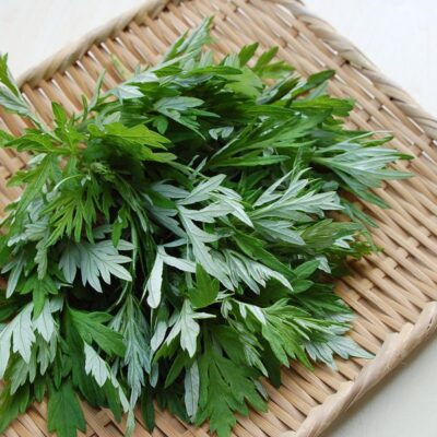 Những người tuyệt đối không được ăn ngải cứu